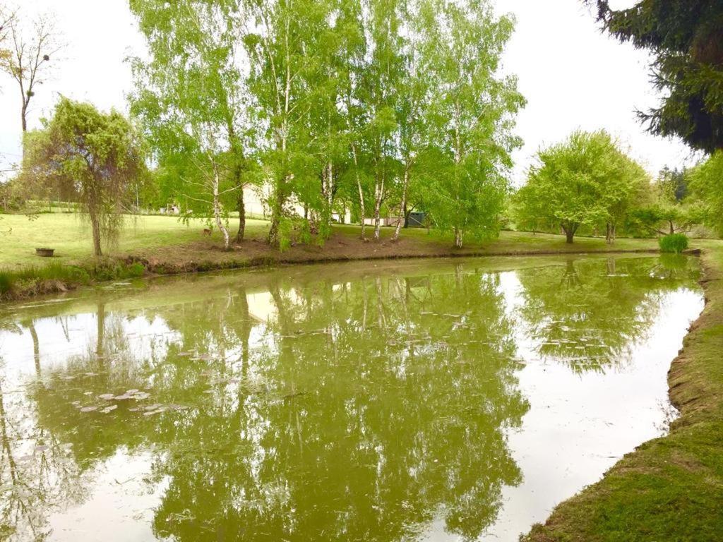 La Maison D'Hera Saint-Yrieix-la-Perche Zewnętrze zdjęcie